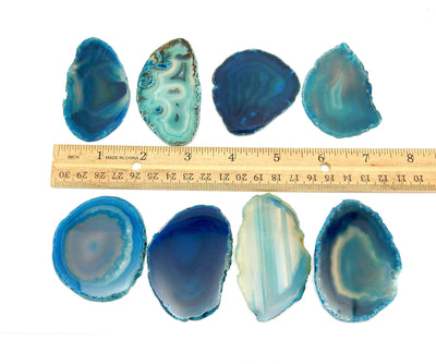 Picture of Teal agate slices on a white background next to a ruler for size reference. 