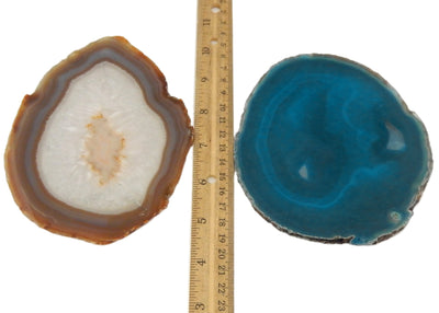 Natural tone agate slice and teal are being displayed next to a ruler for size reference.
