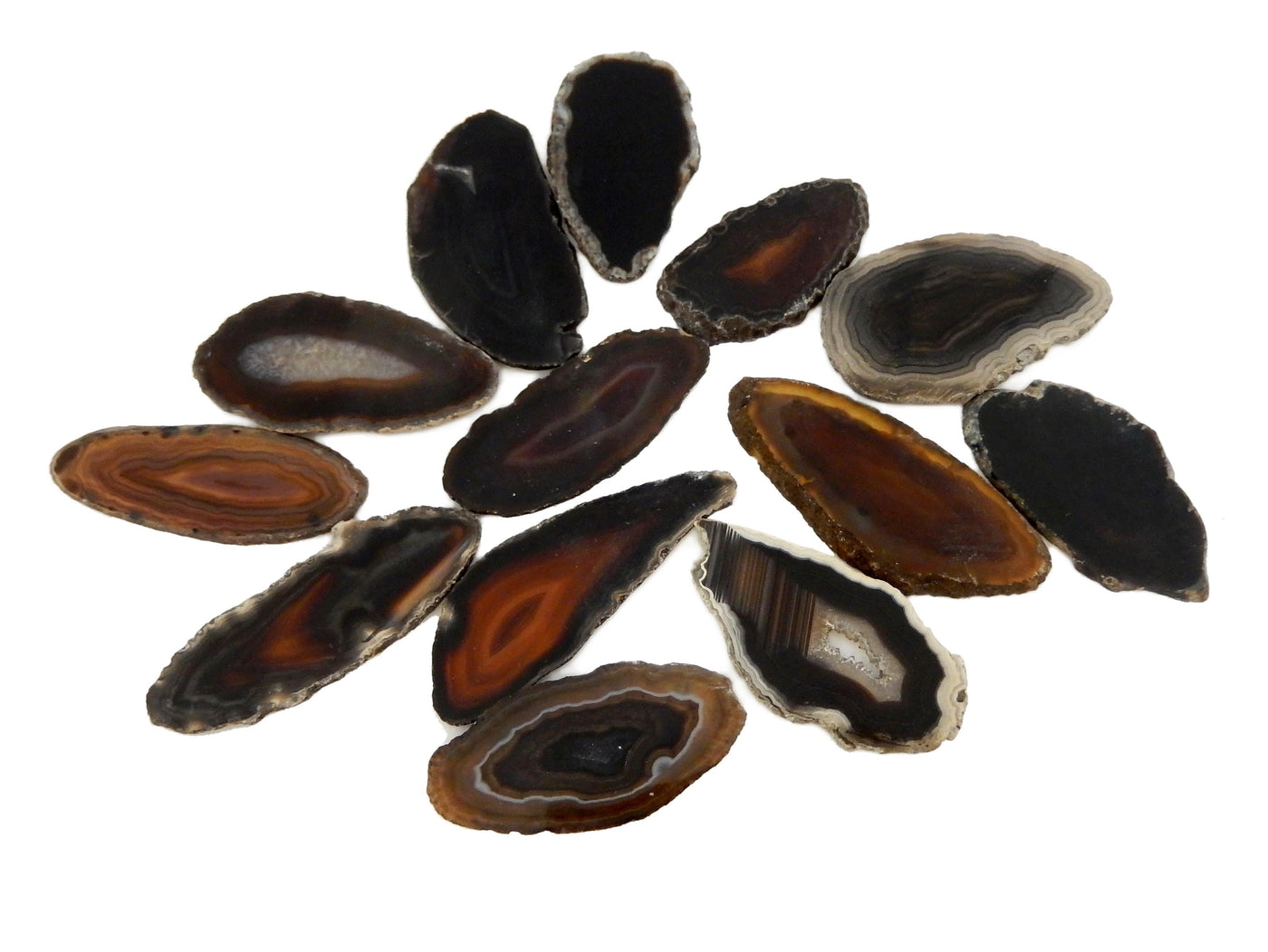 Variety sets of black agate slices spread out on white background