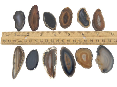 Ruler in between 2 rows of Black Agate Slices on white background
