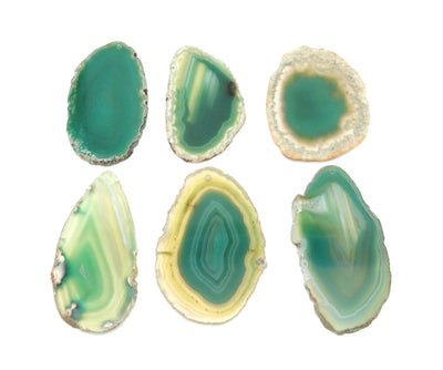 6 Green Agate Slices Drilled on White Background.