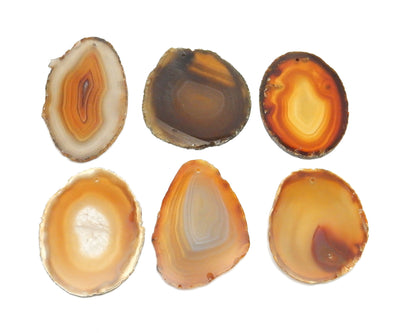 6 Natural Agate Slices Drilled on White Background.
