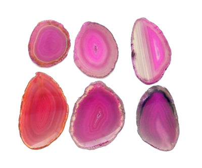 6 Pink Agate Slices Drilled on White Background.