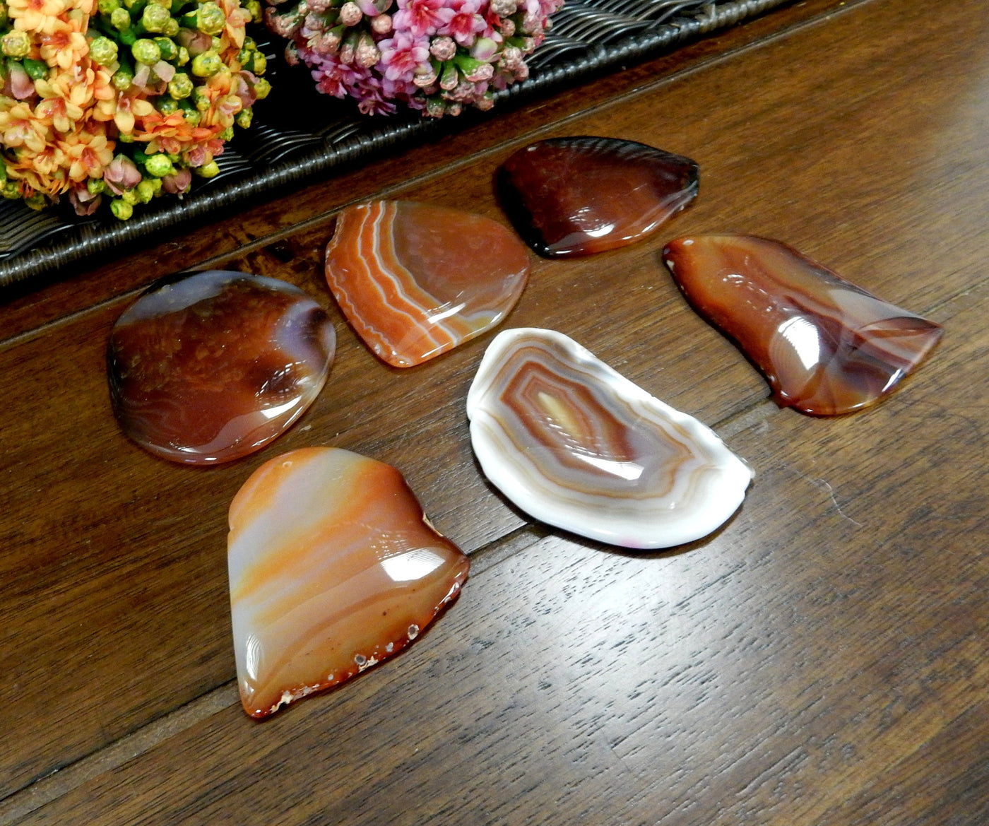 Side Angle 6 Red FreeForm Agate Slices with Polished Edge on Wooden Background.