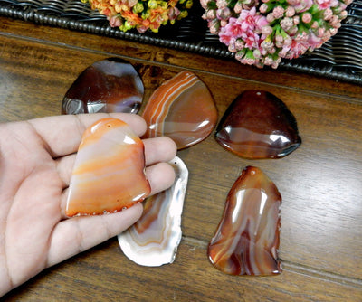 Red Drilled Freeform Agate Slices With Polished Edge in Hand on Wooden Background.