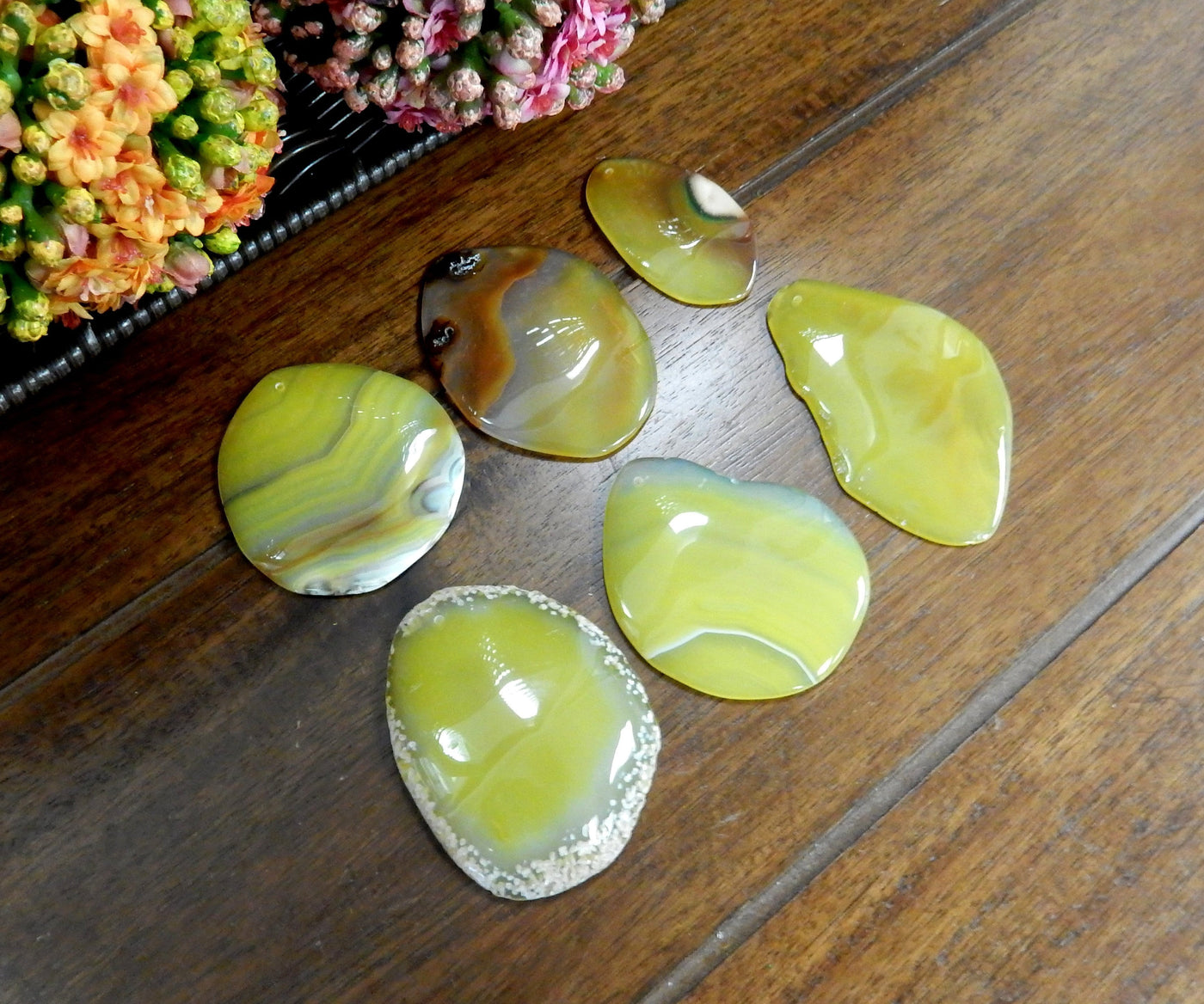 Side Angle of 6 Yellow Freeform Agate Slices with Polished Edge on Wooden Background.