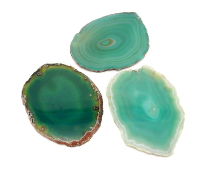 multiple agate slices displayed to show the differences in the sizes and color shades 