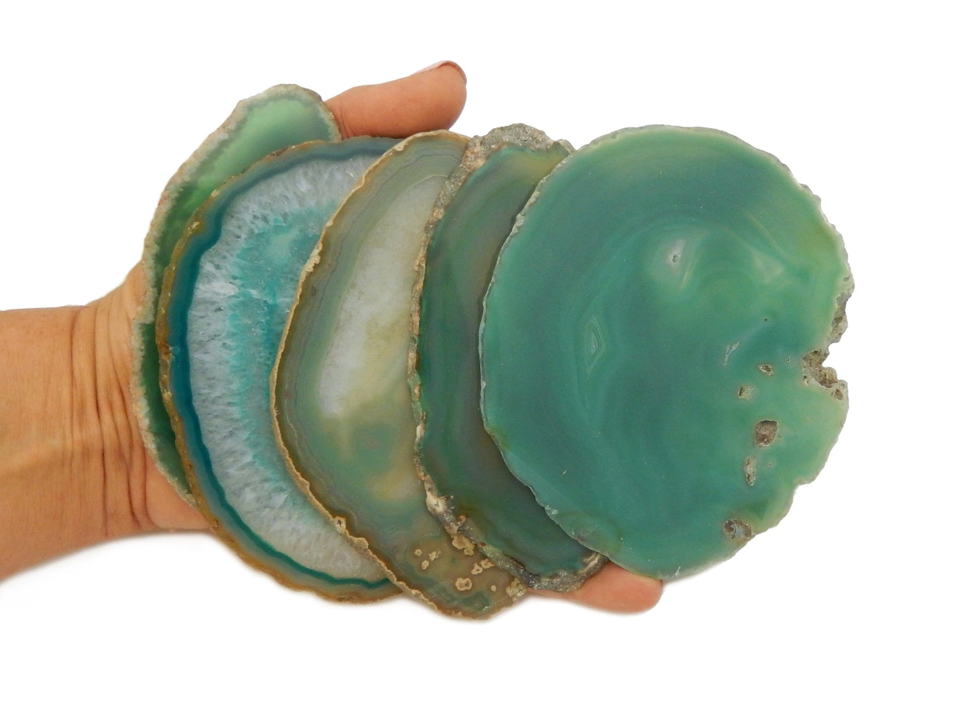 green agate slices in hand for size reference 