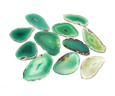 multiple Large Green Agate Slice size # 0 laid out on a white background showing different shades of green patterns textures sizes and shapes