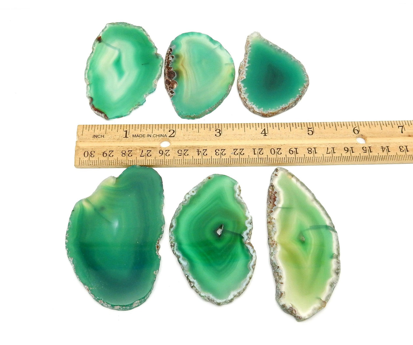 Large Green Agate Slice size # 0  next to a ruler for size reference