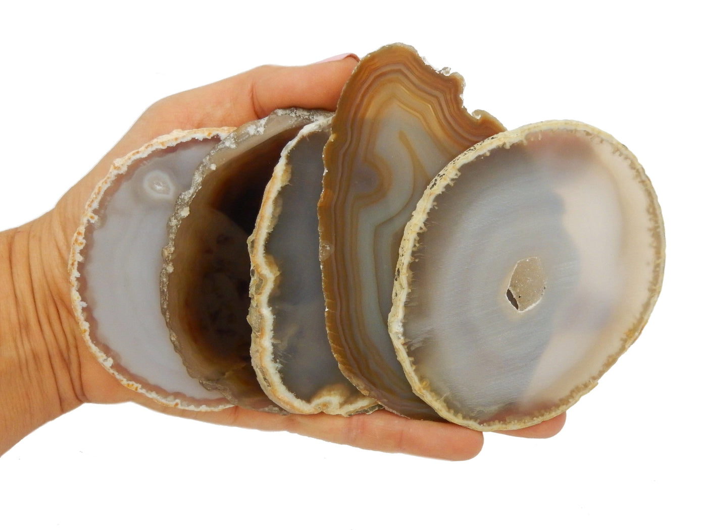  Natural Agate Slices in a hand