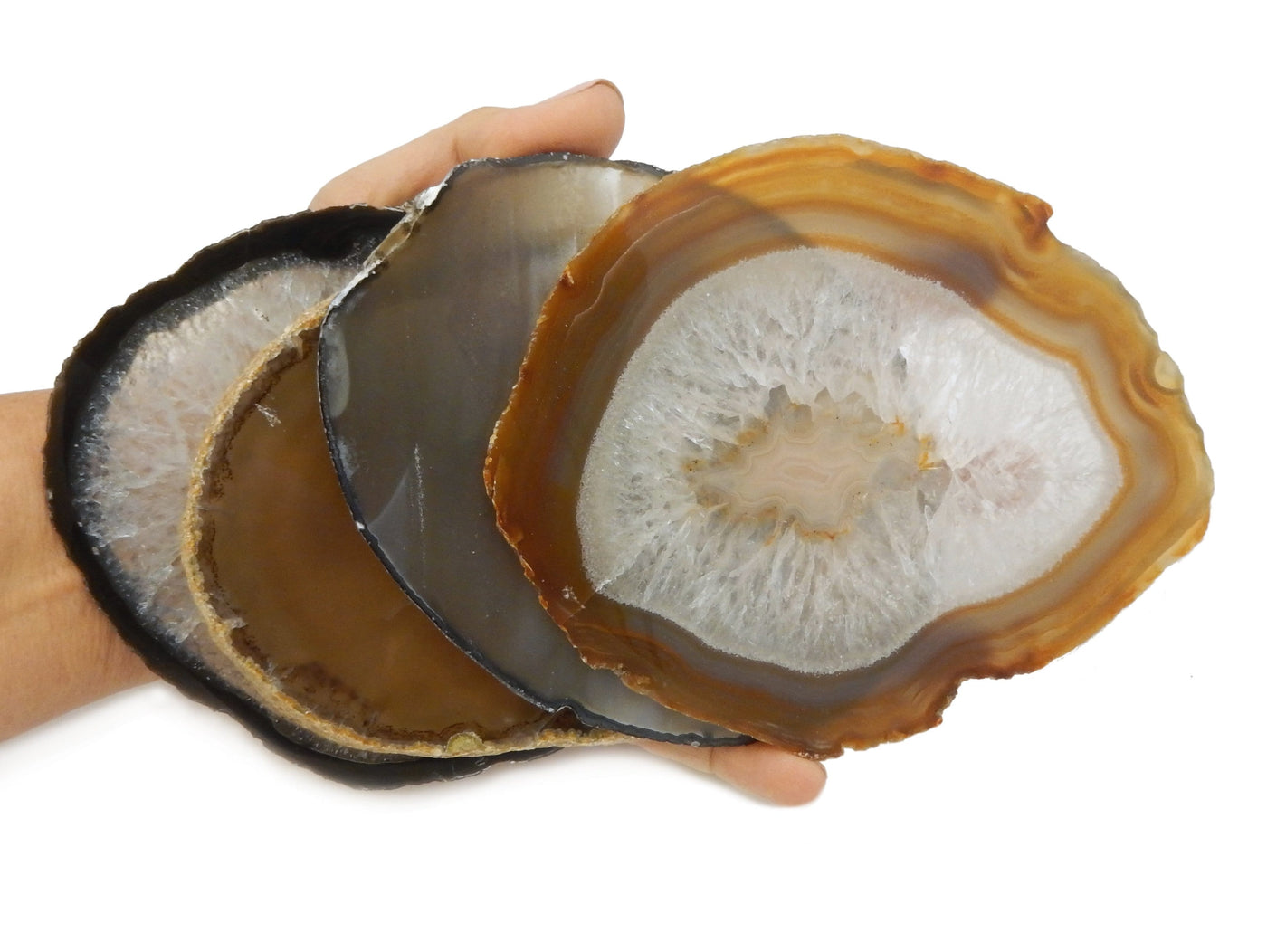 Natural Agate Slice - 4 in a hand