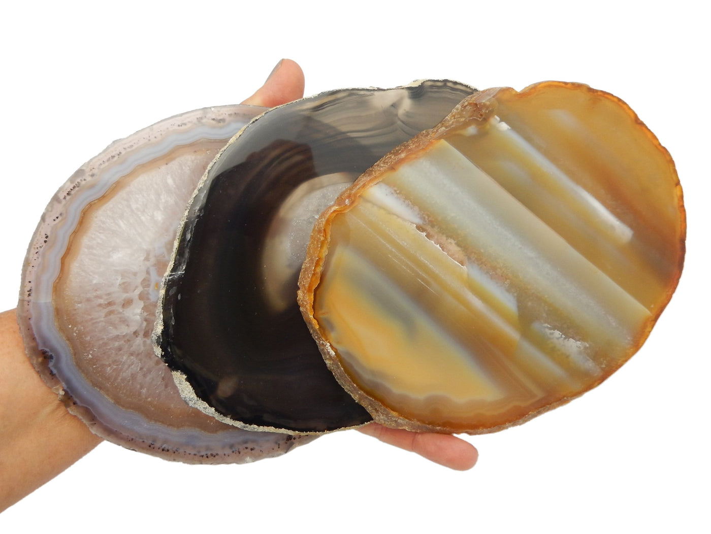 Natural Agate Slice - Agate Slices #7 3 almost covering a hand