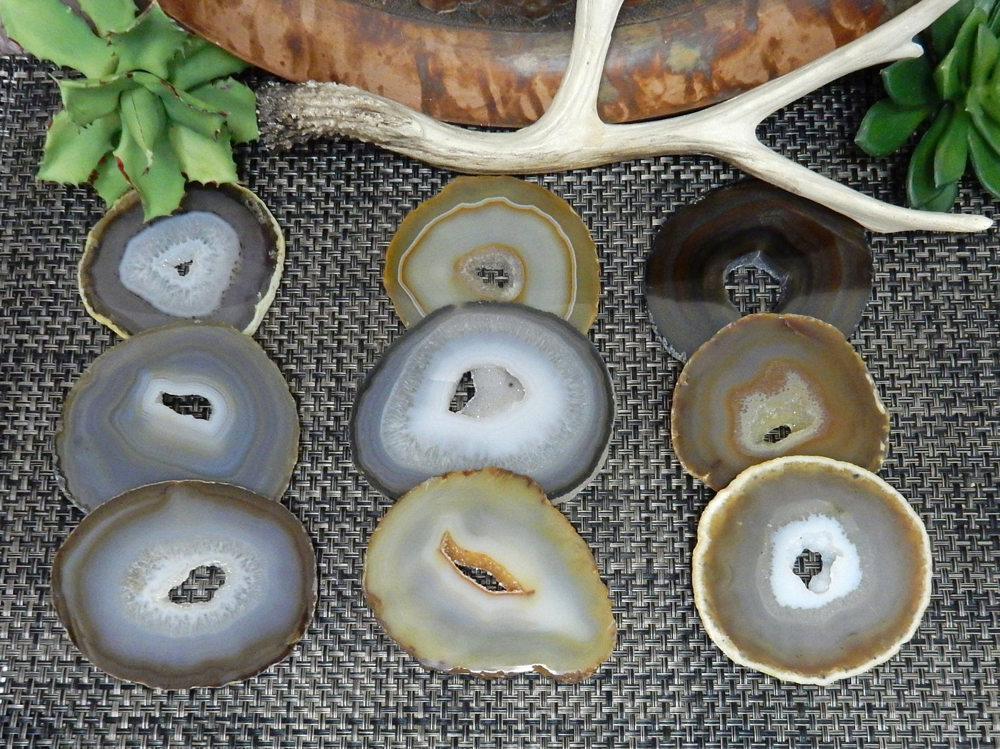 Natural Dark Agate Slices - 3 rows of 3