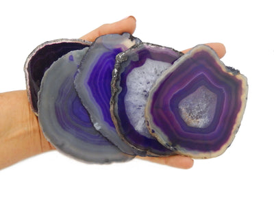 Purple Agate Slices in hand to show pattern variations and size reference for agate slices sizes number 4