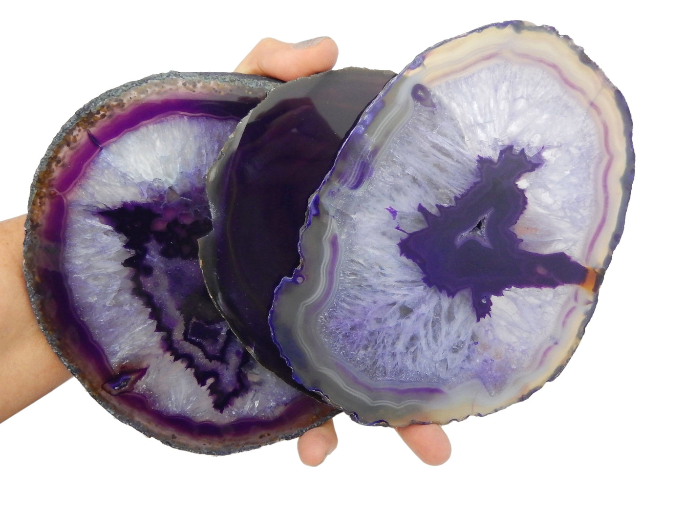 3 Purple Agate Slices #7 in a hand for size reference