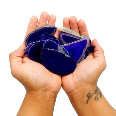 Assorted purple agate slices held in two hands.