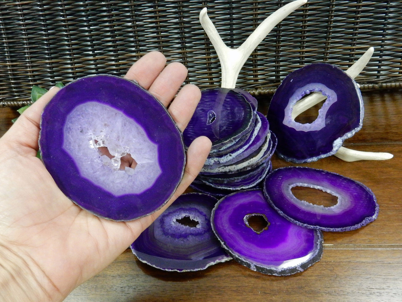 Hand holding A druzy purple agate slice for size reference while other druzy agates are displayed the background  