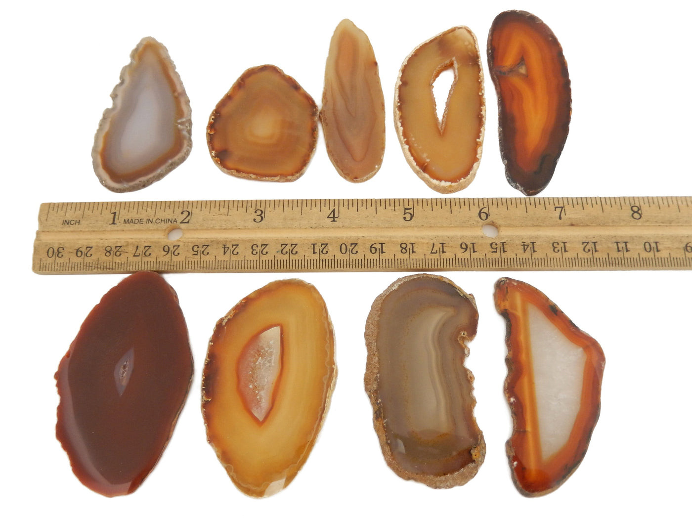 8 Red Agate Slices next to ruler for size comparison on white background