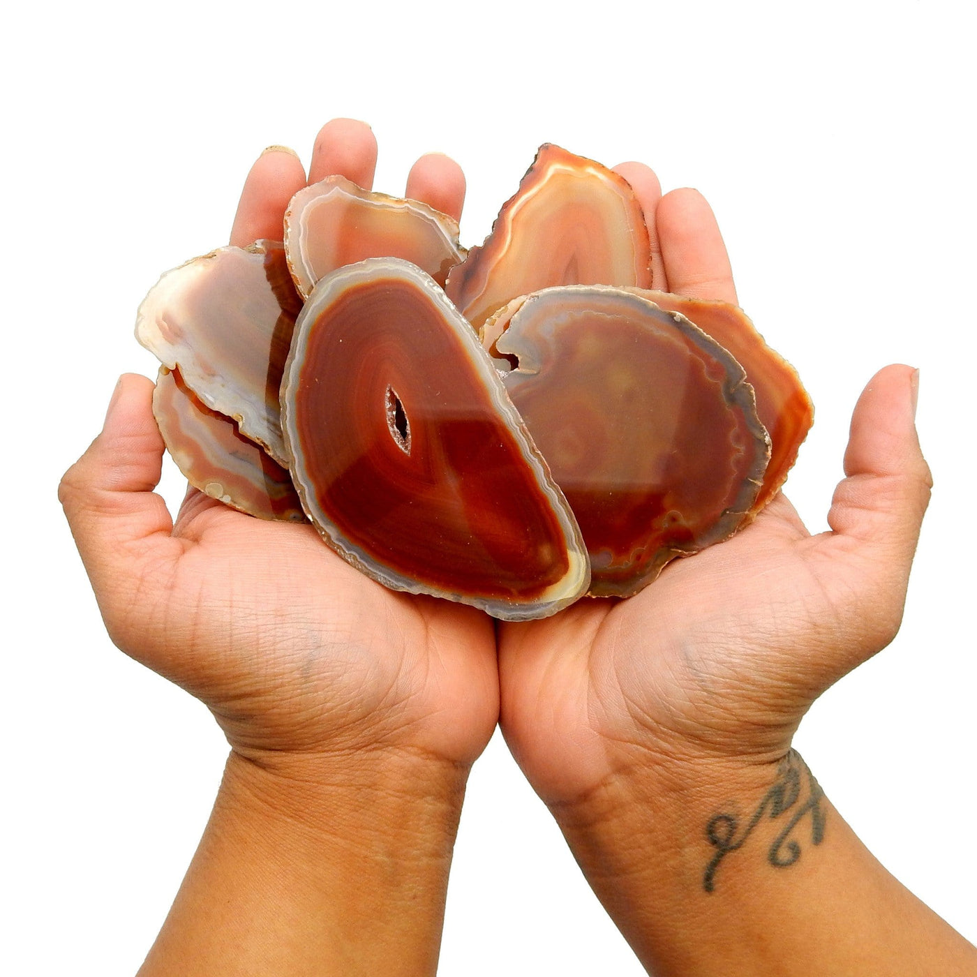 Hands holding up Red Agate Slices on white background