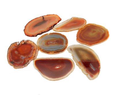7 Red Agate Slices on white background