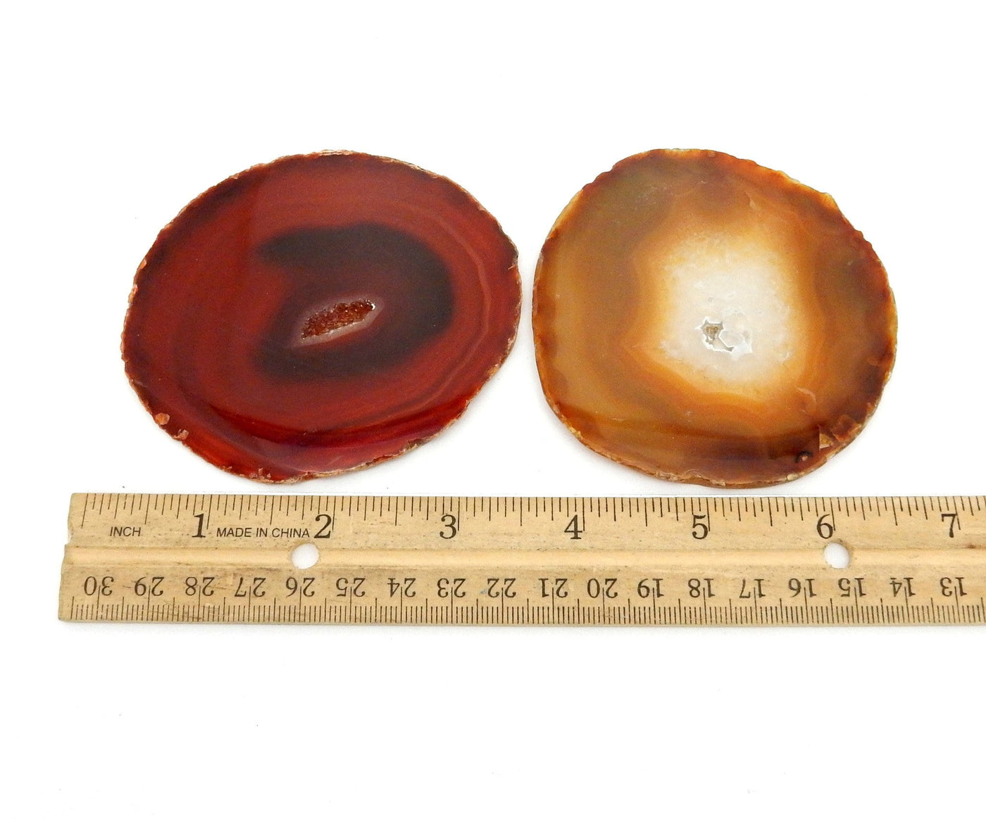 2 Red Agate Slices next to ruler for  size reference on white background