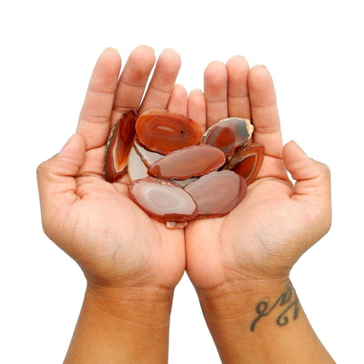 Hands holding Red Agate Slices on white background