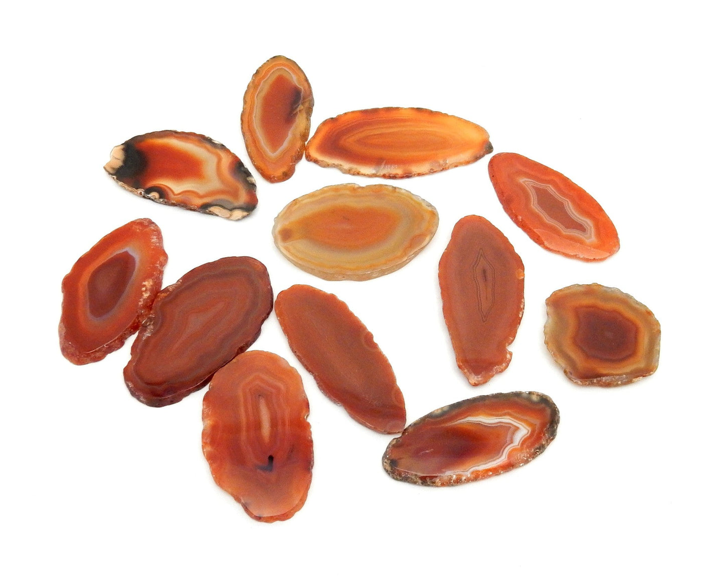 Red Agate Slices scattered on white background