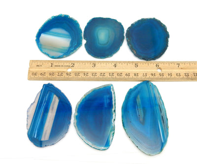 6 Teal Agate Slices in a Size number 0 next to a ruler for sizing 