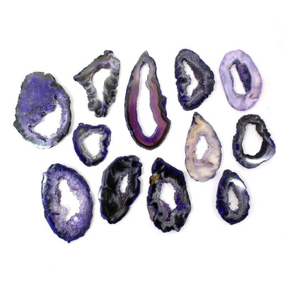 12 Dark Purple Geode Slice on White Background.