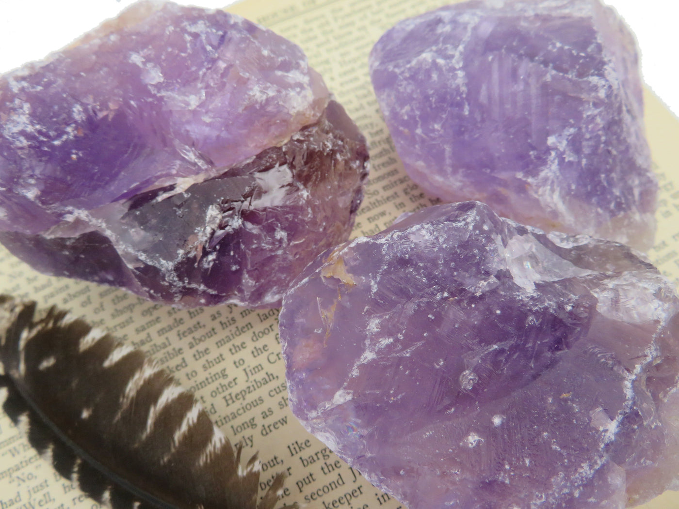 Three Natural Raw Amethyst Stone displayed on a book next to a feather.