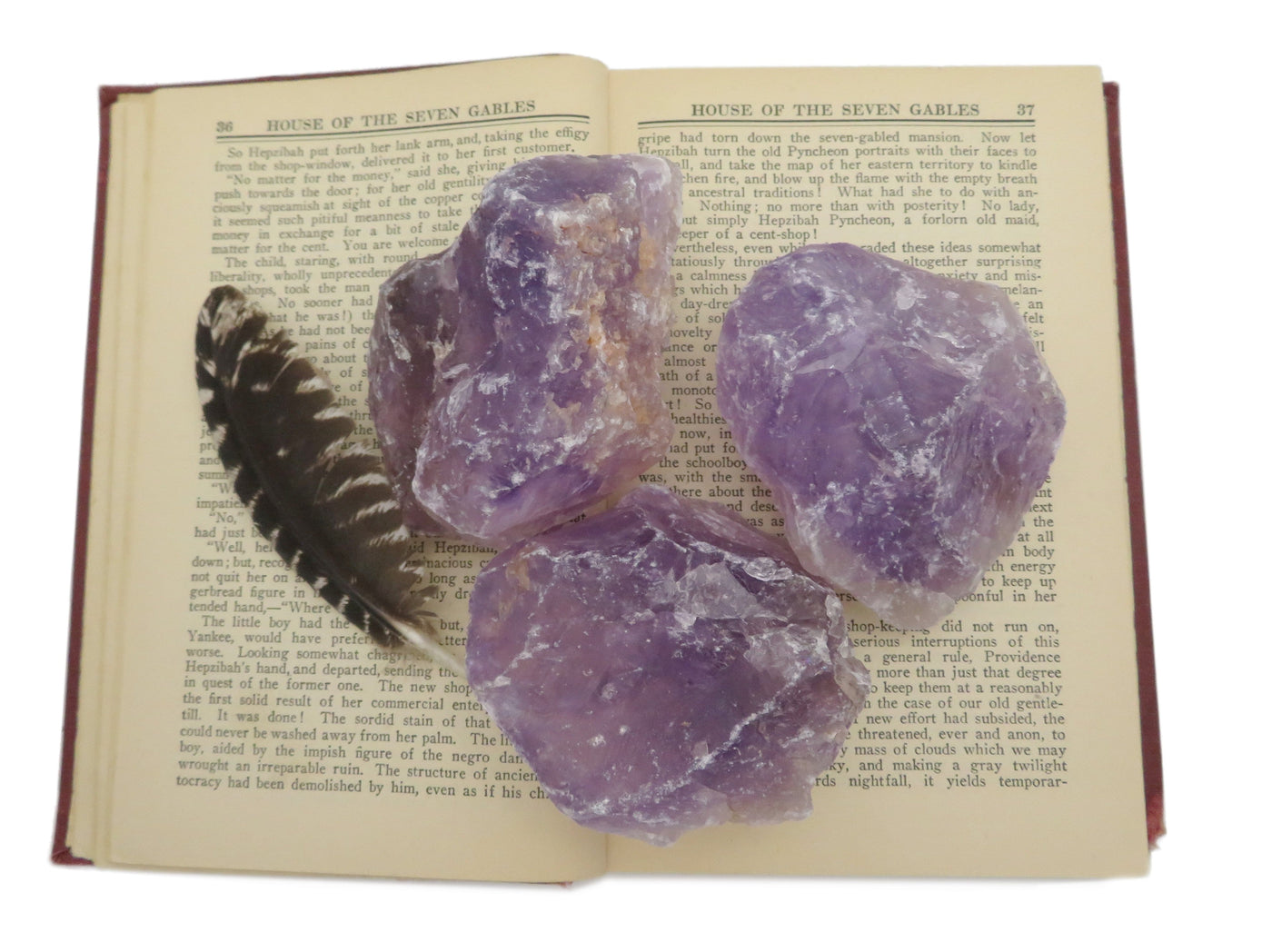 Three Natural Raw Amethyst Stone displayed on a book next to a feather.