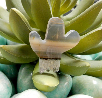 up close shot of amethyst cactus cabochon in front of succulent