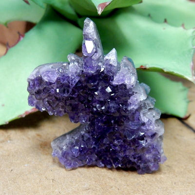 amethyst unicorn cabochon in front of a plant