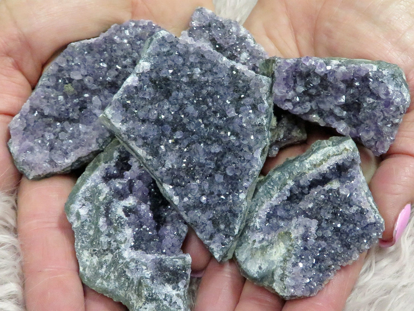 Close up picture into 6 amethyst clusters, showing their different sizes and colors in purple.  