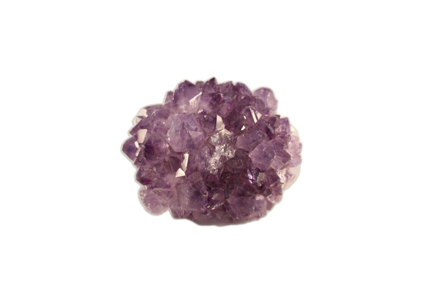 Picture of One Amethyst Pines displayed on a white background.
