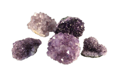 Picture of five Amethyst Pines displayed on a white background.