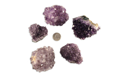 Picture of five Amethyst Pines displayed on a white background next to a quarter for size reference. 