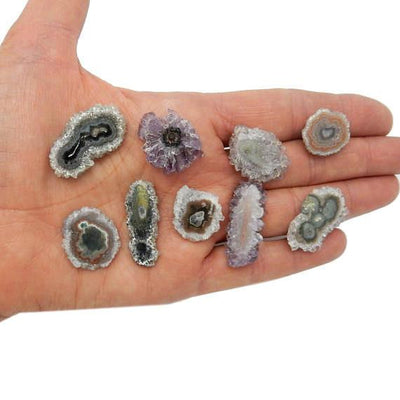 stalactite slices displayed in hand for size reference 