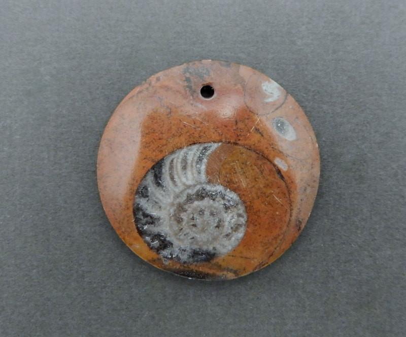 Round Ammonite Pendant with a top drilled hole