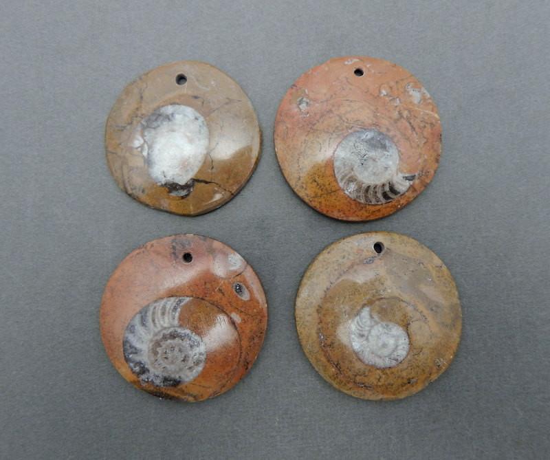 4 Round Ammonite Pendants with a top drilled hole