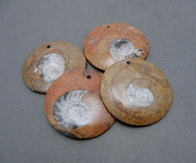 Top view of 4 Round Ammonite Pendants with a top drilled hole