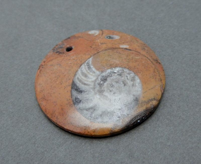 Round Ammonite Pendant with a top drilled hole