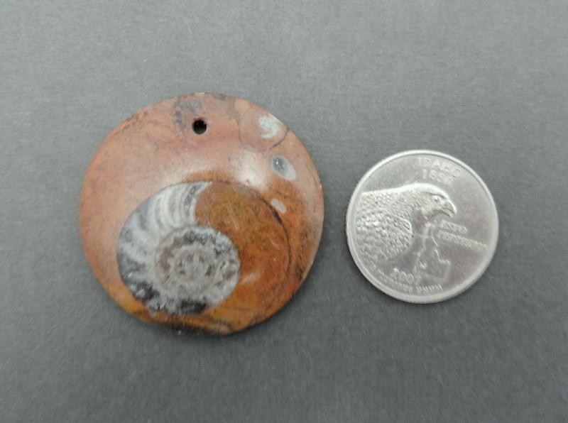 Round Ammonite Pendant with a top drilled hole next to a Quarter for Size Reference 