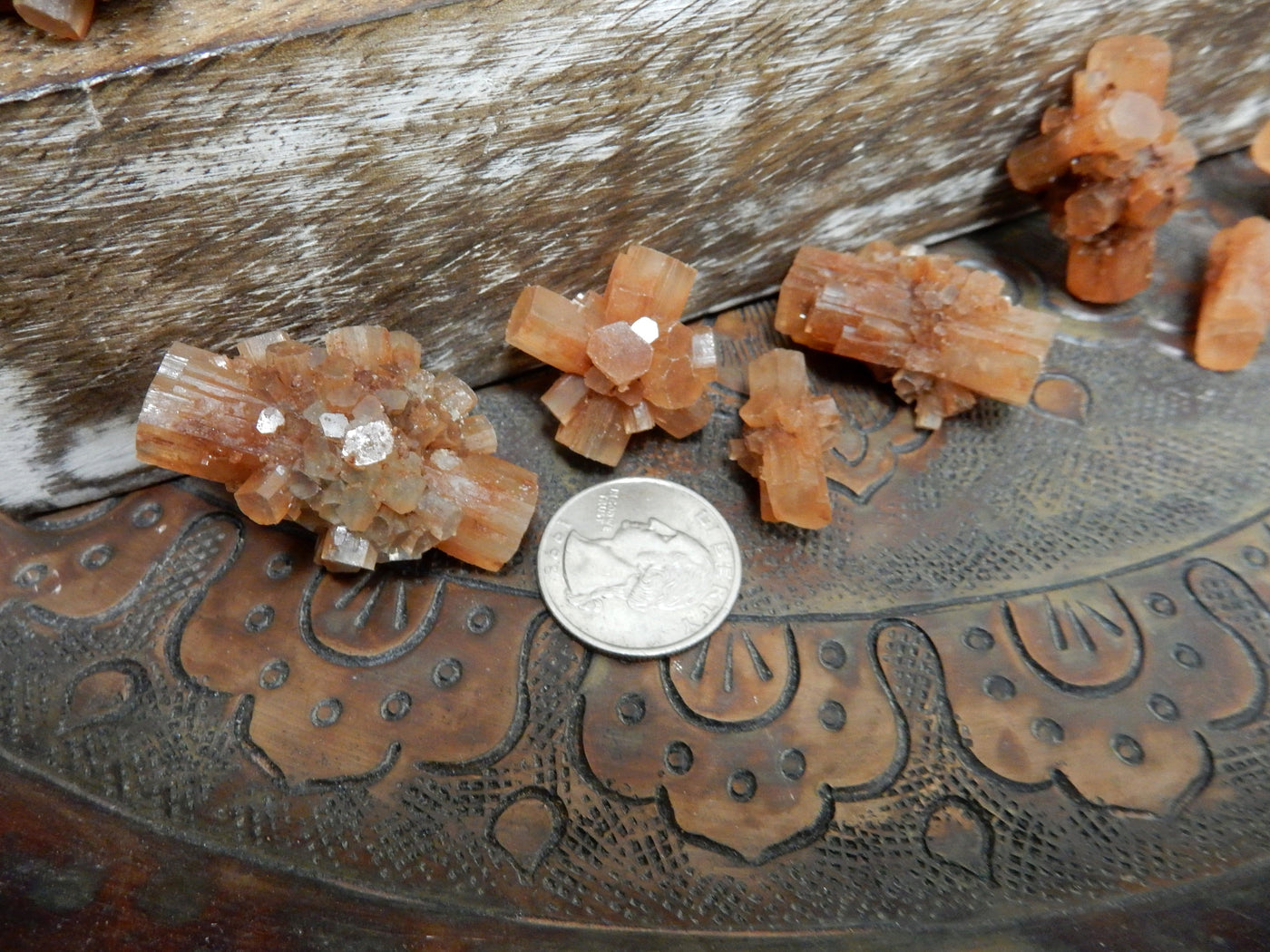 aragonite rods next to a quarter for size reference