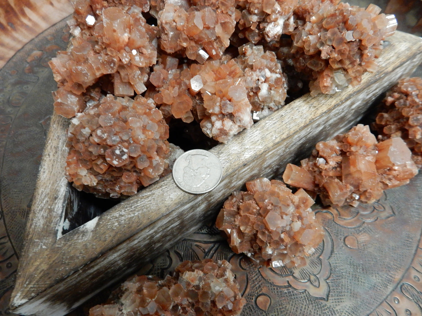 A quarter in the middle of multiple  Extra Large Aragonite Rods