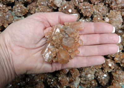 1 piece of Extra Large Aragonite Rods in hand.