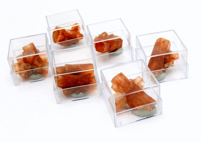 Aragonite Specimens In A Gem Collector Case displayed to show various formations sizes textures and color
