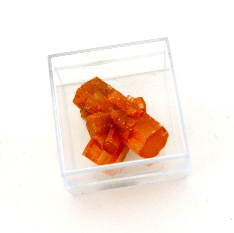 Orange color Aragonite in gem collectors case displayed on white background