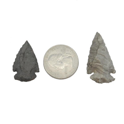 2 mystic titanium arrowheads next to a quarter for size reference on white background